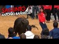 ¿HAS VISTO COMO RUEDA ESTA CHICA? | SAGUNTO - SANT ANTONI 28/01/2017 / MATINAL