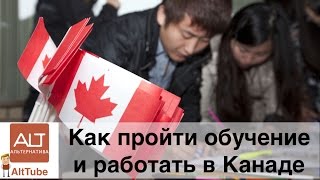 AltTube #60. Как работать и учиться в Канаде: Work and Study Canada