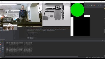 Head Pose and Fine Gaze Estimation
