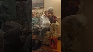 Ali's Christmas present by Cindy Williams 8 views 5 months ago 1 minute, 40 seconds