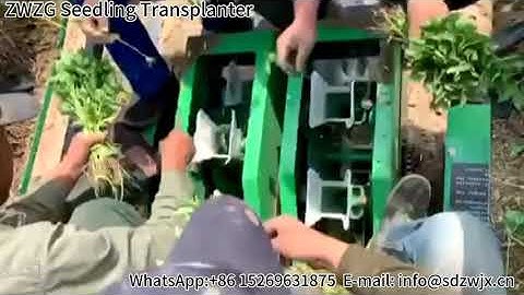 2-row pepper seedling transplanter