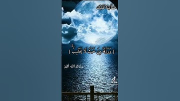 ومن يتوكل على الله فهو حسبه ،، 💕ماهر المعيقلي💕 - سورة الطلاق