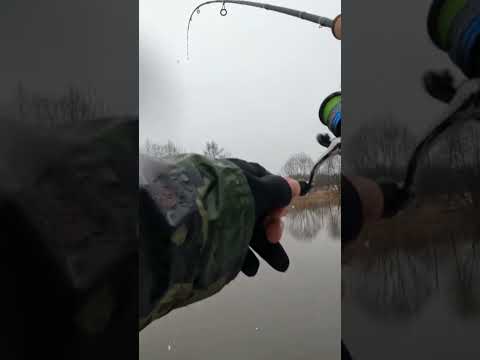 ЗИМНИЙ ОКУНЬ на