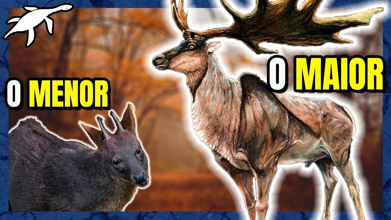 ORIGEM e EVOLUÇÃO dos CERVÍDEOS