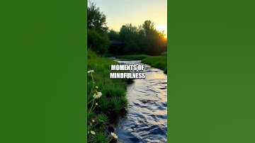 The Simplicity of Mindfulness in Daily Life