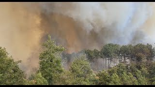 Gironde : un nouvel incendie se déclare près d'Arès, plus de 300 personnes évacuées