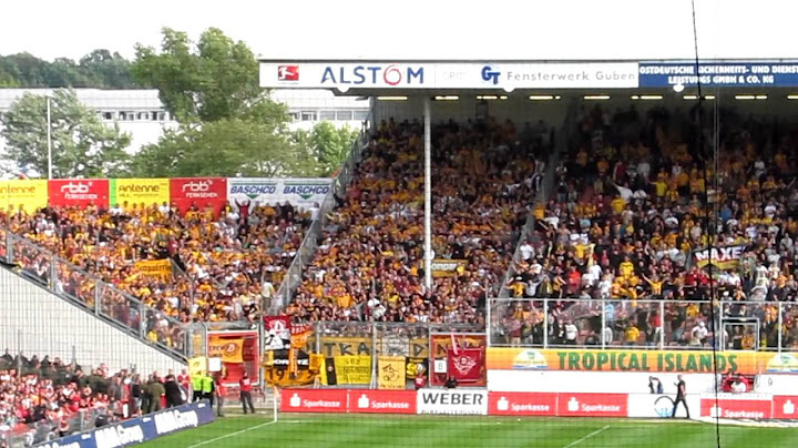 DynamoFans in Cottbus