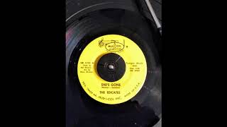 Download Lagu She's Gone - Remastered MP3 Download Lagu She's Gone - Remastered MP3