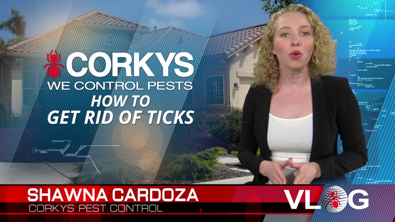How to Get Rid of Ticks - YouTube