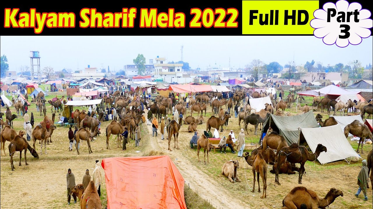 Kalyam Sharif Mela 2022 | Baba Fazal Shah Kalyami | Full Mela Movie Full HD | Part 3