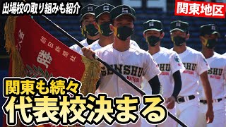 【甲子園特集】浦和学院、作新学院なども甲子園へ！関東の夏の大会を総括