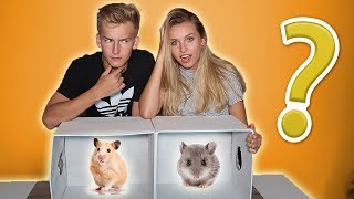 Download lagu GRYZONIE ATAKUJĄ Co jest w pudełku 3 GRYZONIE ATAKUJĄ Co jest w pudełku 3