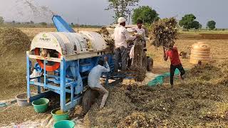 मूँग कैसे निकल रहे कितना हुआ नुकसान पानी आने से 