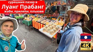 видео: 🇱🇦 Сутрешния пазар в град Луанг Прабанг, Лаос 🧅🐸🐀 картинка: 🇱🇦 Сутрешния пазар в град Луанг Прабанг, Лаос 🧅🐸🐀