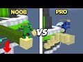 Bedwars NOOB vs PRO - Blockman Go Blocky Mods