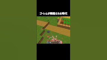 ゴーレムって結構体力あるよね…？#minecraft