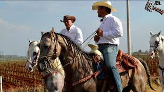 Cabalgata Junio 2016 en Betania Jalisco