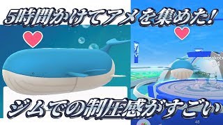 【ポケモンＧＯ】超巨大ポケモン、ホエルオーをゲット！