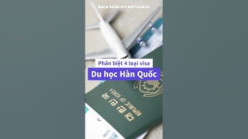 Chọn visa du học Hàn Quốc dễ dàng chỉ trong 40 giây! #duhoc #xkld #bachdangicokiengiang