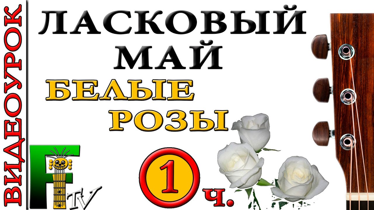 Белые розы на гитаре. Белые розы табы для гитары. Белые розы табулатура для гитары. 1 Мая гитара.