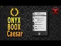 Доступная книга ONYX BOOX Caesar / от Арстайл /