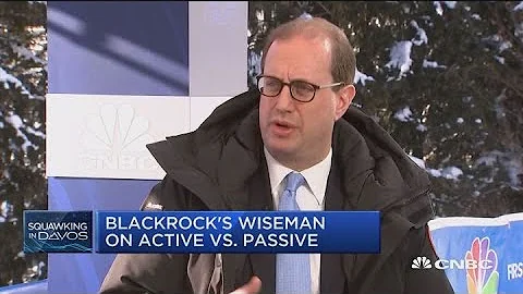 Why BlackRock's Wiseman tells his clients to diver...