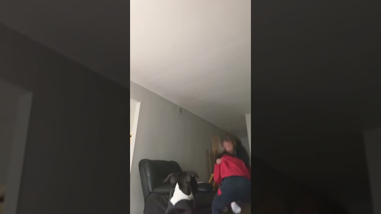 Godzilla’s kingdom