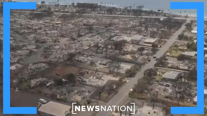 Historic Hawaiian town of Lahaina devastated by wildfires | The Hill