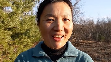 Andes Wealth Platform, A New Way to Deliver Wealth Management