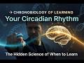 CHRONOBIOLOGY OF LEARNING - How Your Circadian Rhythm Determines When Your Brain Learns Best