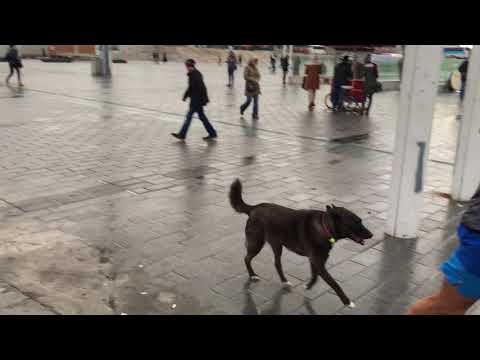 Taksim square .