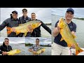 DORADOS en Corrientes | Pesca de Dorados con señuelos | Golden Dorado Fishing in Argentina 🇦🇷