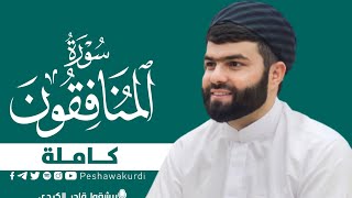 سورة المنافقون كاملة بصوت القارئ بیشةوا قادر الكردي