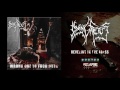 Dying fetus  reveling in the abyss official audio