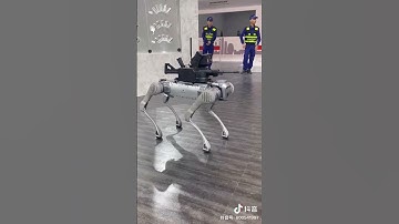Robot Wolf made in China