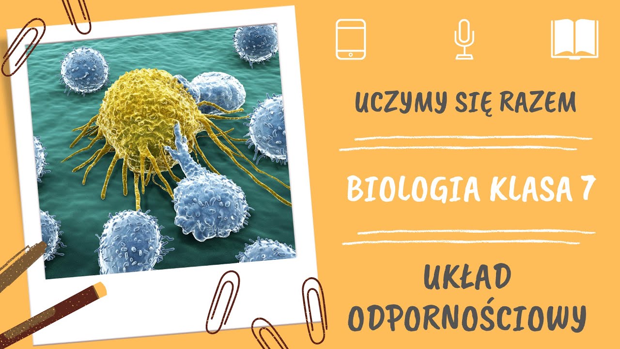 E Podrecznik Biologia Klasa 7 - Biologia klasa 7. Układ odpornościowy. Uczymy się razem - YouTube