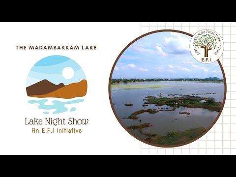 E.F.I's Lake Night Show - Madambakkam Lake. வரலாற்று நீர் பொக்கிஷம் மாடம்பாக்கம் ஏரி.