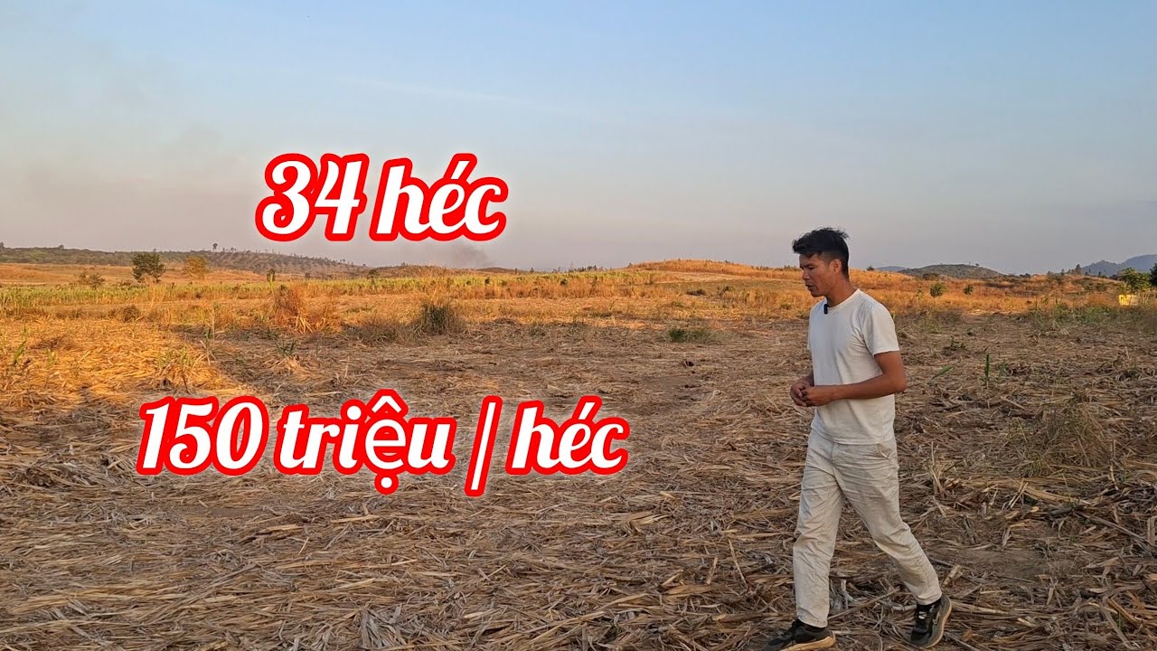 (381) Chủ cần bán đất vườn, có giếng khoan,có nhà ở luôn, thích hợp trồng các loại cây...