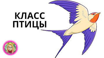 ЧТО НУЖНО ЗНАТЬ ПРО ПТИЦ ДЛЯ ЭКЗАМЕНА?