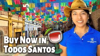 Todos Santos Homes | Real estate in Baja California Sur