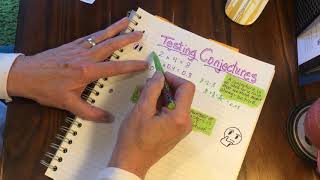 Testing Conjectures Video