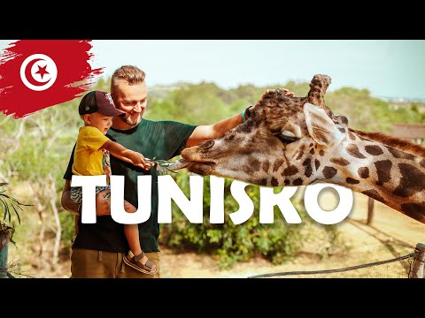 Video: To Nejlepší, Co Vidět A Dělat V Tunisku Pro Cestovatele