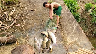 FULL VIDEO 10 DAY: Bac's solo survival skills, casting nets to catch big fish, harvesting eggs...