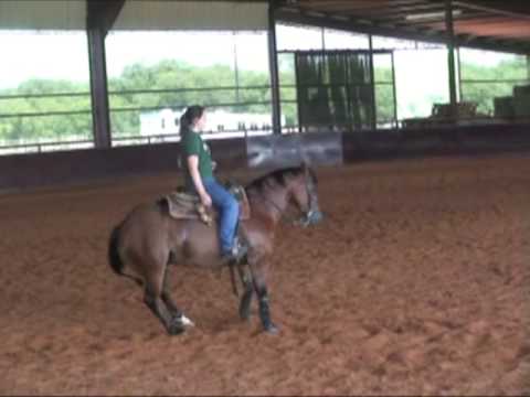 Allie & Nancy Sue: Reining School Day One