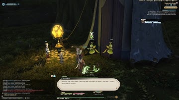 Forest Friend | #FFXIV A Realm Reborn MSQ #048 feat. Edward #FFIV