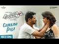 Chakkani Pilla Video Song | Abhinetry 2