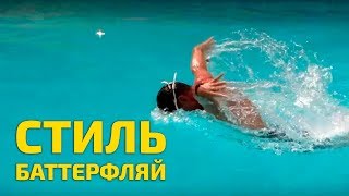 Баттерфляй Баттерфляй