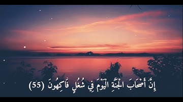 تلاوة هادئة تخشع القلب ✨  : مؤيد المزين