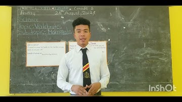 Practicum (Micro-teaching).