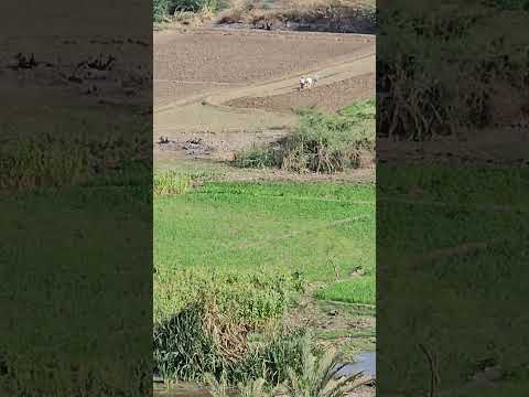 بداية وادي زبيد من مديرية جبل راس الحديدة 